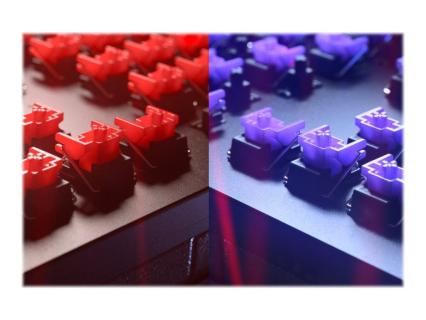 Image a85126c1-d301-4fbb-90c1-c7d7e38f81fe.jpg Image