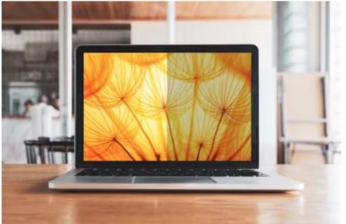 Image aa721a19b4f3e3961f9e80a5ba61bec639074713.jpg Image