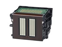 Image ab974407-a162-4777-8d24-f152b6f4e8e9.jpg Image