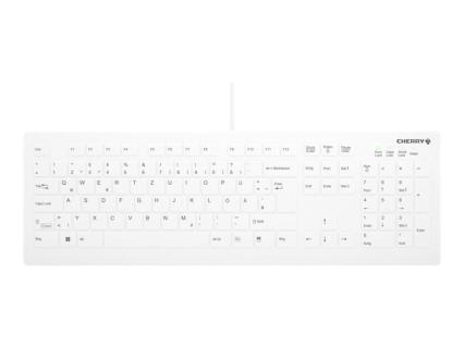 Image ad68ebb2-ee0d-4d60-99b1-045e3eb32496.jpg Image