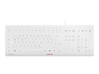 Image afea02fa-7d54-4df0-867f-01dd85f198da.jpg Image