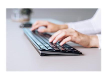 Image b01bcc20-9d60-433a-8dad-e9fca3aa1512.jpg Image