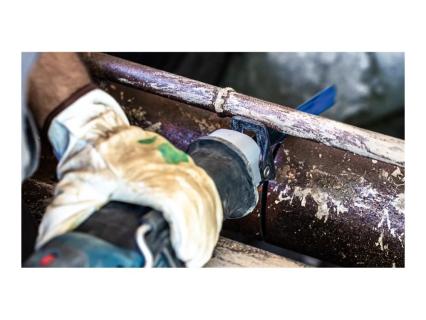 Image b137311f-8c40-4a6c-8c89-4a854aea38a6.jpg Image