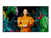 Image b15673fb-6e3a-4b0a-bcc8-30e5927450f2.jpg Image