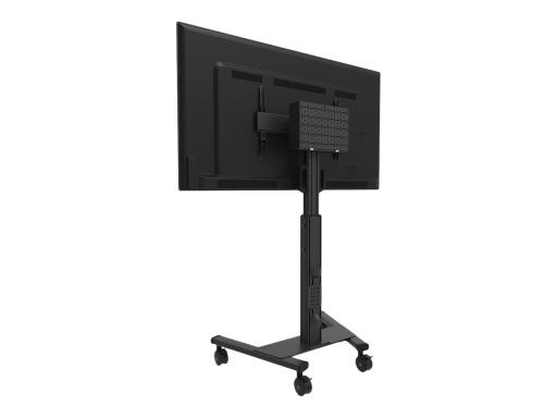 Image b2c9e259-9817-45a1-a83d-079b78182331.jpg Image