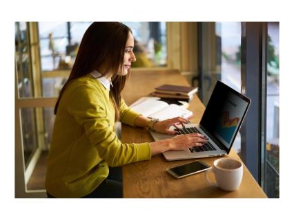 3M Bright Screen Privacy Filter for HP, 16:9, BPNHP002