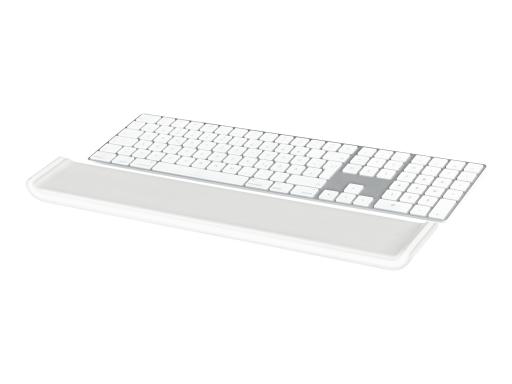 Image b5b22583-a948-41f5-9b97-42bd834243f4.jpg Image