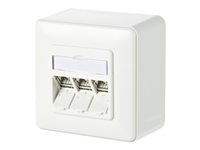 Image b6b0e3d8-656f-444c-ad2e-74d9cdddcdac.jpg Image