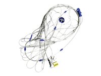 Image b82c76a6-443e-47d1-9d02-ae1bc7048c8e.jpg Image