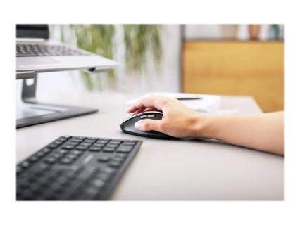 Image b88d3a06-fc49-4213-a190-d4e4789ce30d.jpg Image