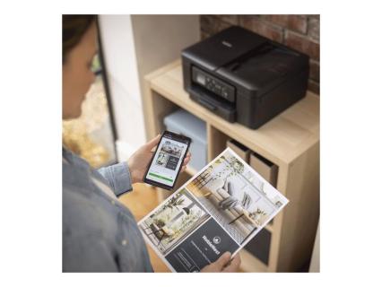 Image ba399fe5-0b60-47c0-ad27-933cf2ded93d.jpg Image