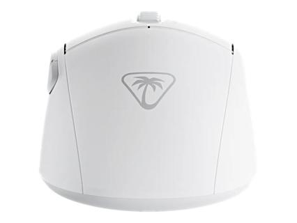 Image ba4da1e5-5bcd-48fd-8918-6b18b6847cb9.jpg Image