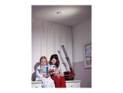 Image bbe46811-b3af-4965-a09d-4dcd791aef94.jpg Image