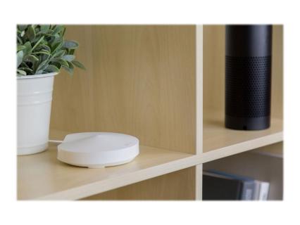 Image bd7192ff-7450-41d8-9686-038b6bb0d47c.jpg Image