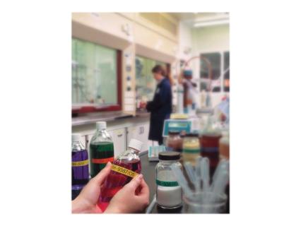 Image be794019-5d1a-4a7d-98fe-50a56ceadc9f.jpg Image