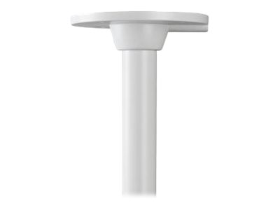 Image bf862bc6-8e7d-4daf-8348-6ec8cd454d5b.jpg Image