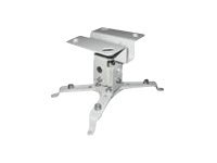 Image c0b22c69-a490-4d29-b6b8-591c03e2e483.jpg Image