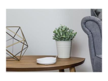 Image c1ca6e91-e8c4-46b5-a4d6-cc198d4af9d2.jpg Image