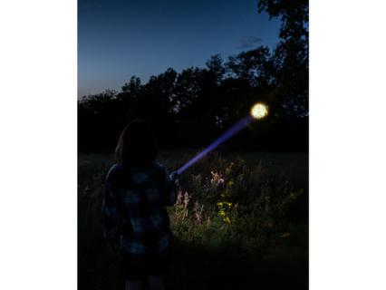 Image c1e5d10ebfa8731481587d1742282c7c.jpg Image