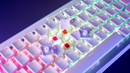 Image c1ffa85f383970d7b873328919b69546bf32a459.jpg Image