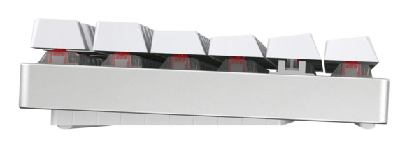 Image c6924a463d58d98459a242af5de080e29ec1f3a7.jpg Image