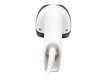 Image c823e232-aa47-48a8-ae30-4503f41c57de.jpg Image