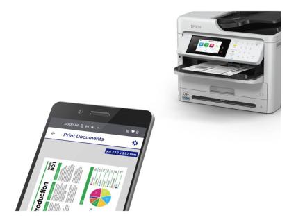 Image c9968cb3-8b80-4e8d-877e-b8581d54f3a6.jpg Image