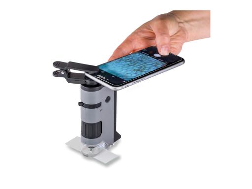 Image c9b26287-ff88-4000-ab7a-e5571357b80b.jpg Image