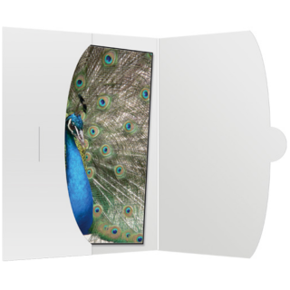 Image cVJiCQlEKRGFnZJm1DfsFBr3Dhlr-4yRUxnHndVIPvU=.png Image