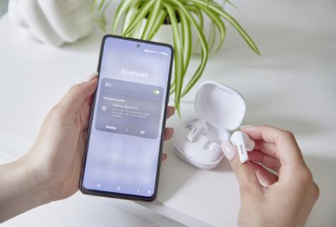 Image cb75612b64465b7451522a2f084c2304cf8cc1ef.jpg Image