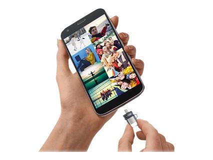 Image cbbb0ca7-8465-4e25-9d96-fdeed671a213.jpg Image