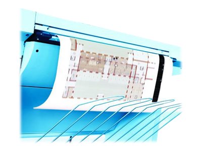 Image cc3a09b5-b56c-44b0-b05b-1f54865f6422.jpg Image