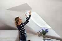 Image cc6d02f8-c699-4a0c-8fd5-d20b787cd48f.jpg Image