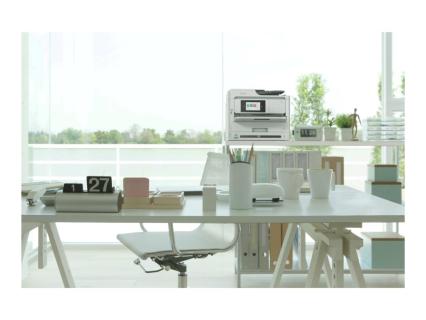 Image cd70bfc7-e519-4f13-b478-d6c69500ddf2.jpg Image