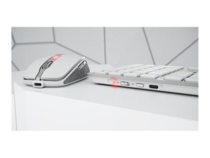 Image cdcabe65-1aaa-481e-8351-bee3ad6e3076.jpg Image