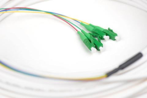 Image ce556876e6a2f43996782b89a3d323a7d1e22e52.jpg Image