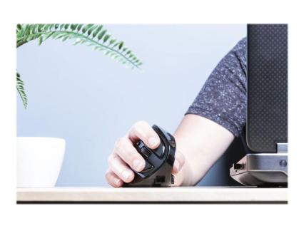 Image d010bfab-a78d-4f32-b8f0-cd1ab4f19b1a.jpg Image