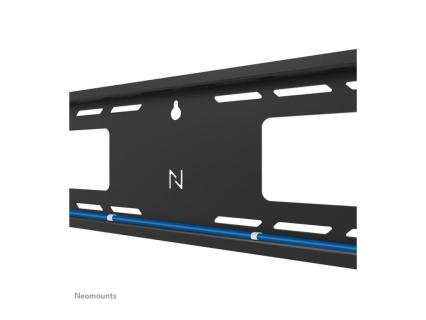 Image d223c1de-9131-4729-a38b-c76f2af268a9.jpg Image