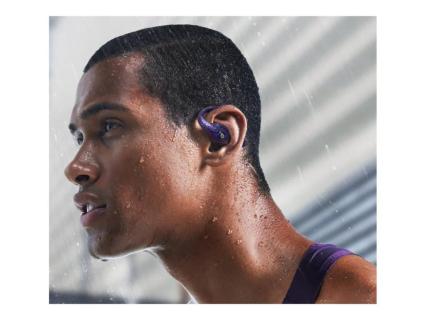 Image d23317d8-a8a8-4235-863f-5441ba07905a.jpg Image