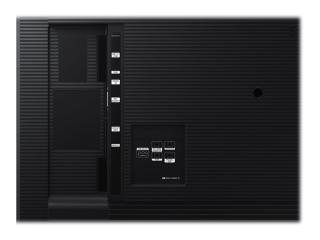 Image d3fd89a2-d1fe-448a-9346-ac6e71ad3f33.jpg Image