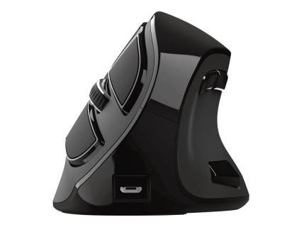 Image d5a886f3-d298-40ec-946e-9d800cb217a6.jpg Image