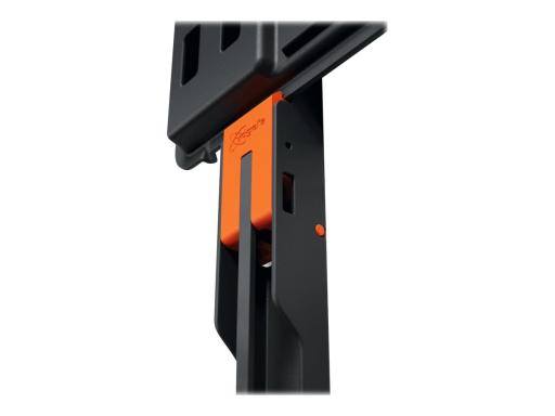 Image d6895096-396d-495f-b53c-eb8eb23342dc.jpg Image