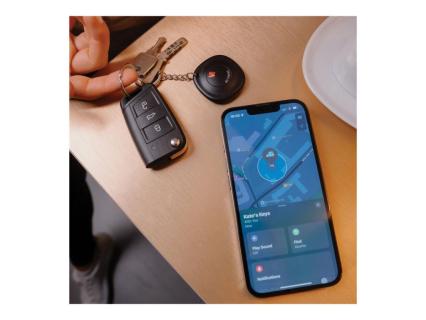 Image d7c7d56d-dfc9-4c37-b241-e03f20b5967a.jpg Image