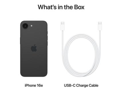 Image d812bd76-1b23-457c-802a-7292a11fa546.jpg Image