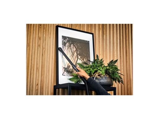 Image d883ea3b-2415-4f80-9421-38eee8625802.jpg Image