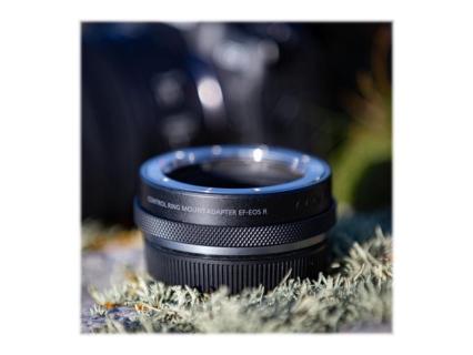 Image d8b74cca-c4f7-491c-86ec-b9a8bfda4f1e.jpg Image