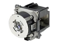 Image d9eba8d8-12bf-43d2-8c87-51b7368ba403.jpg Image