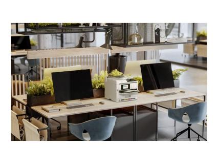 Image dd277a34-cad3-4808-9c85-faf0beec2c9d.jpg Image