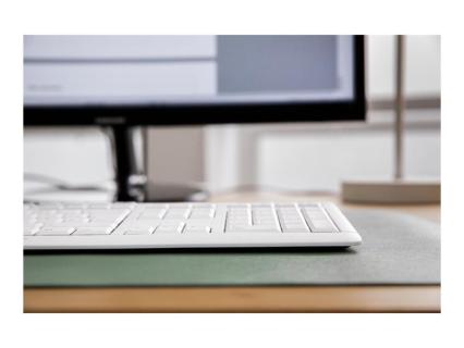 Image e0223596-48bc-4760-b594-7fb732943539.jpg Image