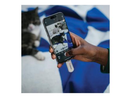 Image e2258568-c537-42dd-8226-1d8dca3f7d6d.jpg Image